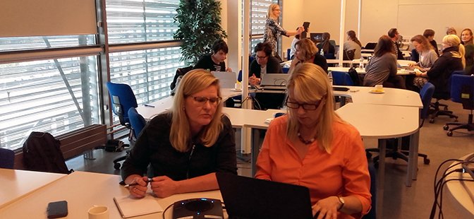 DIGI-JOUJOU - Suomen ja ruotsin kielen joustava oppiminen ja ohjaus tulevaisuuden työelämän tarpeisiin