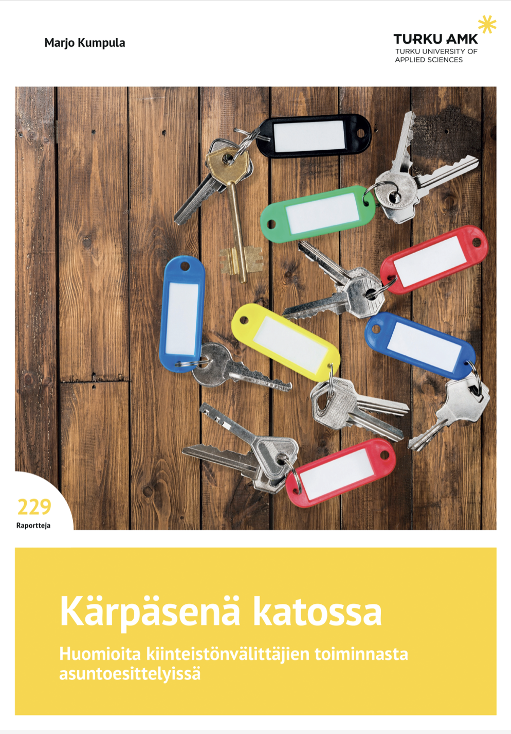 Kärpäsenä katossa