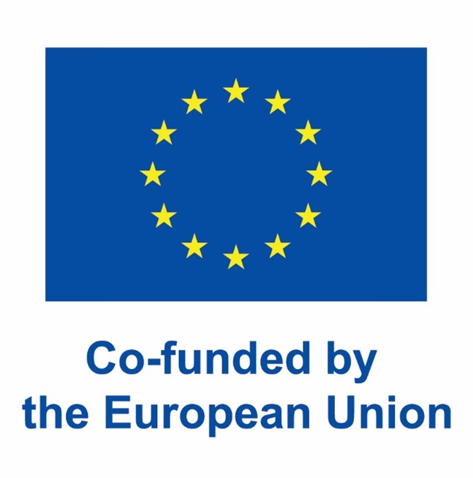 Co-funded by the European Union