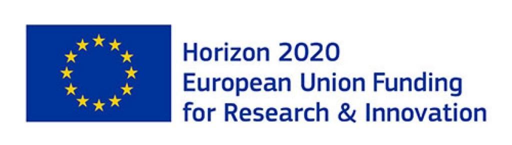 Horizon 2020 -rahoittajalogo