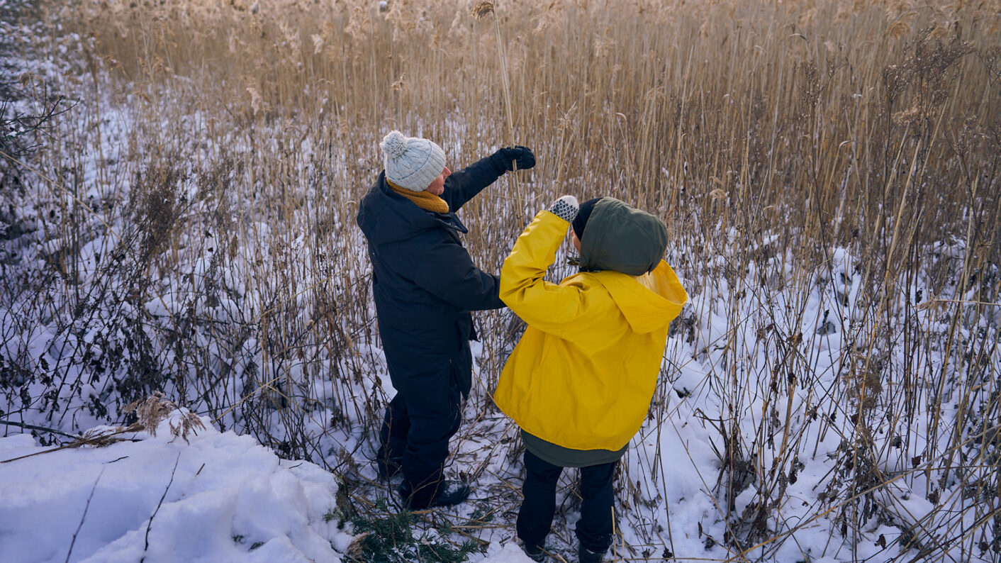 Kaksi henkilöä tutkimassa ruokoja meren rannalla, talvimaisema.