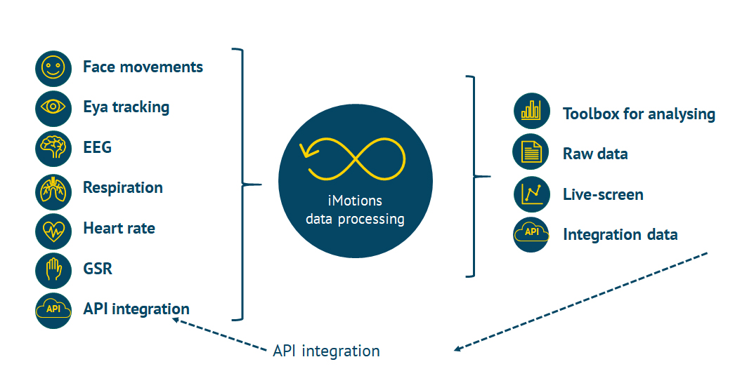 Picture of iMotions software environment.