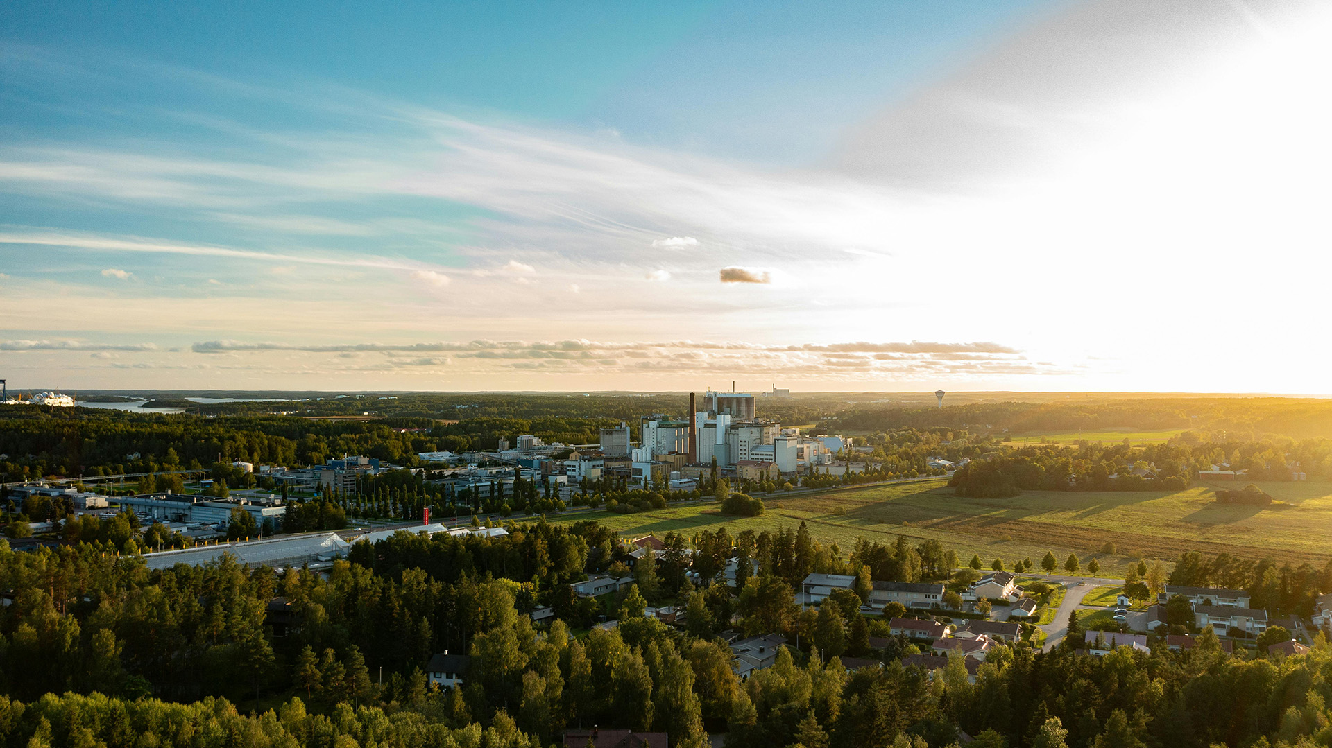 Markkinavuoropuhelu: Luonnon monimuotoisuus osaksi rakennushankkeiden hankintakriteerejä