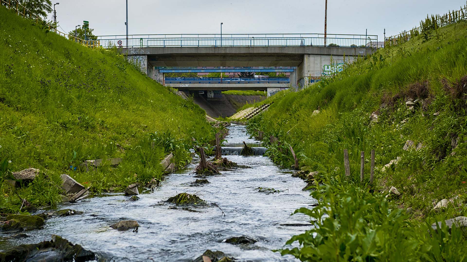 Pieni virtaava joki, taustalla silta